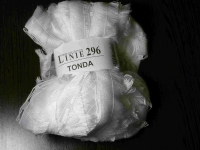 Linie 296 Tonda wei 0001