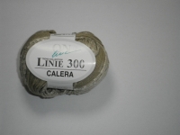 Linie 300 Calera  - 00002