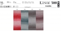 Linie 300 Calera  - 00002