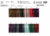 Linie 309 Boa Vista  - 00011