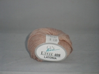 Linie 408 Latonia  - 00005