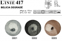 Linie 417 Belicia Degrade - 00001