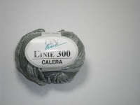 Linie 300 Calera  - 00008