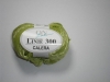 Linie 300 Calera grn - 00011